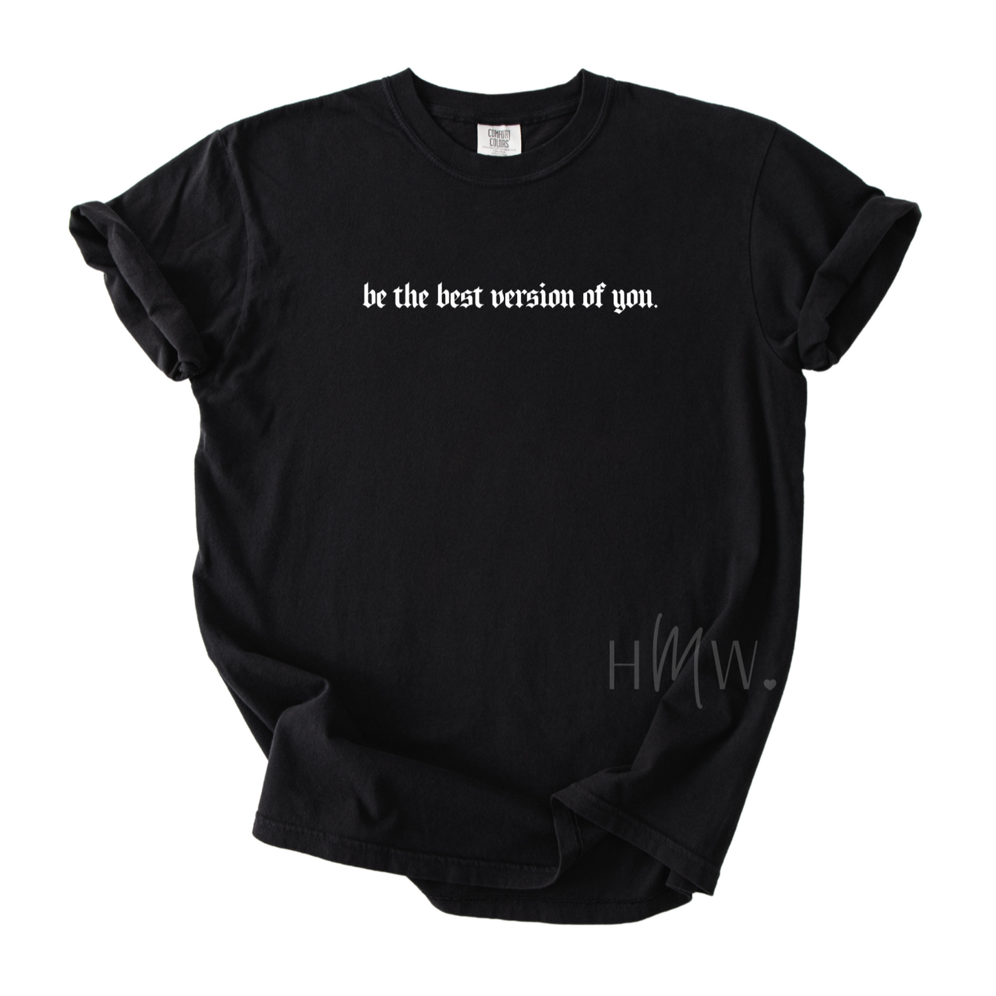 Be the best version of you - Embroidery  Unisex Adult Tee  - 3 Colors